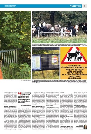 corren-20241018_000_00_00_007.pdf