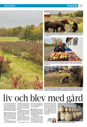 corren-20241021_000_00_00_007.pdf