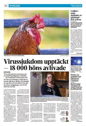 corren-20241022_000_00_00_012.pdf