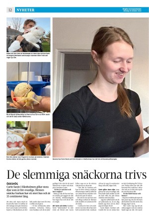 corren-20241028_000_00_00_012.pdf