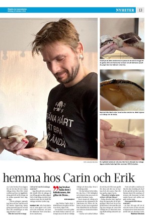 corren-20241028_000_00_00_013.pdf