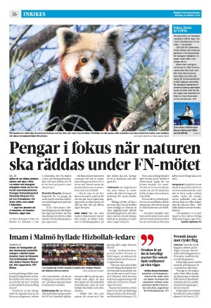 corren-20241028_000_00_00_016.pdf