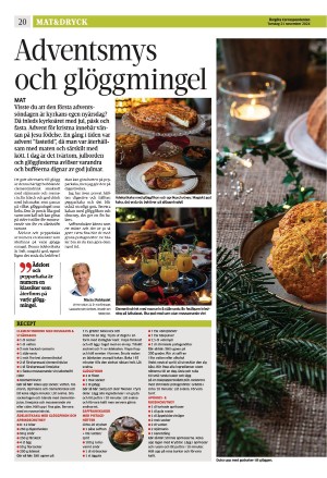 corren-20241121_000_00_00_020.pdf