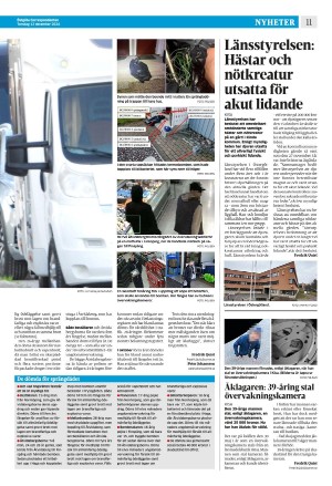 corren-20241212_000_00_00_011.pdf