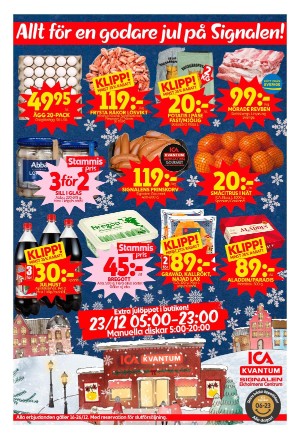 corren-20241219_000_00_00_003.pdf