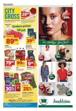 corren-20241219_000_00_00_009.pdf