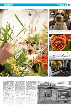 corren-20241219_000_00_00_013.pdf