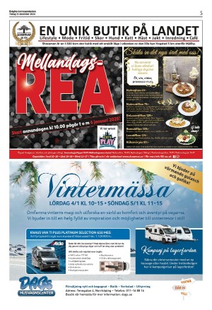 corren-20241231_000_00_00_005.pdf