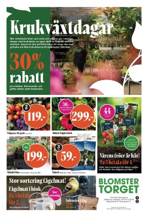 corren-20250131_000_00_00_003.pdf