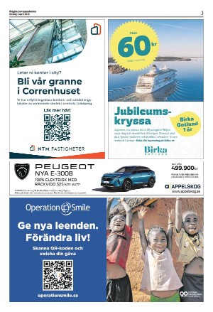 corren-20250402_000_00_00_003.pdf