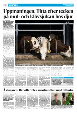 corren-20250419_000_00_00_016.pdf