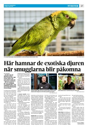 corren-20250425_000_00_00_027.pdf
