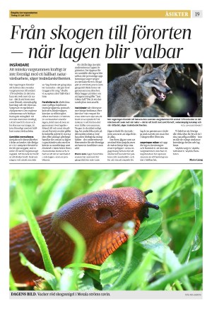 corren-20250722_000_00_00_019.pdf