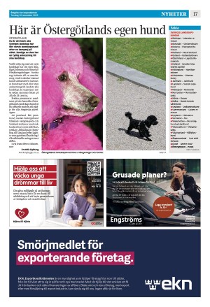 corren-20251120_000_00_00_017.pdf