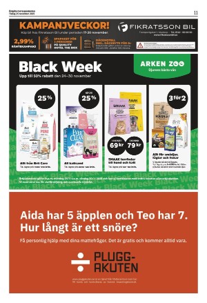 corren-20251125_000_00_00_011.pdf