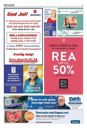 corren-20251223_000_00_00_005.pdf