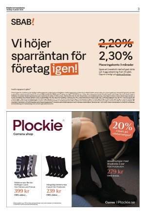 corren-20260115_000_00_00_003.pdf