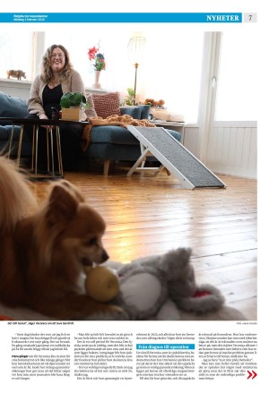 corren-20260202_000_00_00_007.pdf