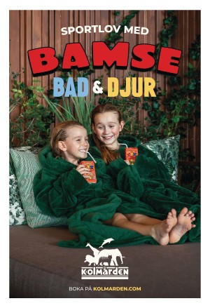 corren-20260212_000_00_00_003.pdf