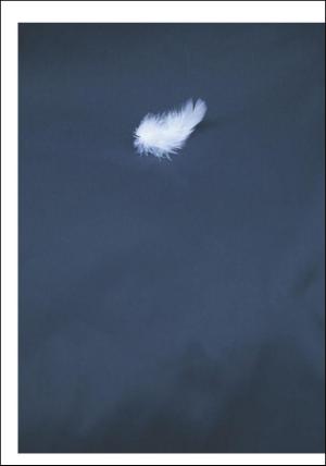 dagbladet-20090710_000_00_00_016.pdf