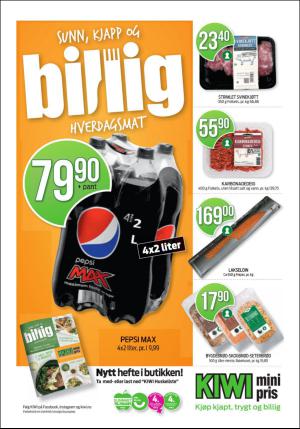 dagbladet-20160820_000_00_00_007.pdf