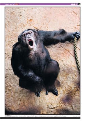 dagbladet-20170825_000_00_00_029.pdf