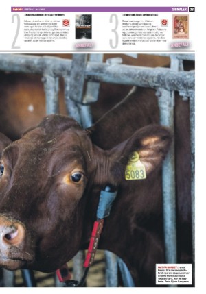 dagbladet-20250502_000_00_00_033.pdf