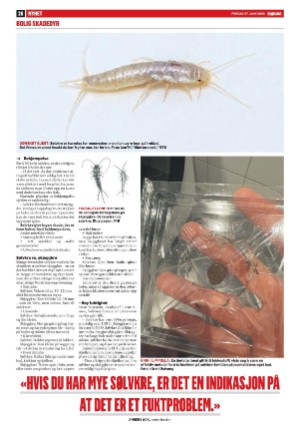 dagbladet-20250628_000_00_00_026.pdf