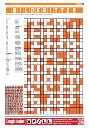 dagbladet-20260128_000_00_00_035.pdf