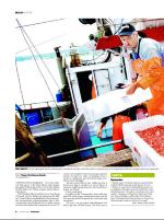 dagbladet_bilag-20081009_000_00_00_008.pdf