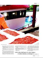 dagbladet_bilag-20081009_000_00_00_009.pdf