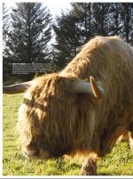 dagbladet_bilag-20081127_000_00_00_024.pdf