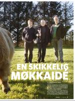 dagbladet_bilag-20081127_000_00_00_025.pdf