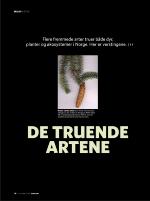 dagbladet_bilag-20081127_000_00_00_028.pdf