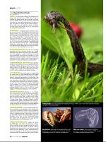 dagbladet_bilag-20081127_000_00_00_030.pdf