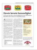 dagbladet_bilag-20090308_000_00_00_003.pdf