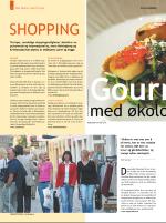 dagbladet_bilag-20090503_000_00_00_004.pdf