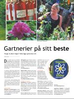 dagbladet_bilag-20090503_000_00_00_009.pdf