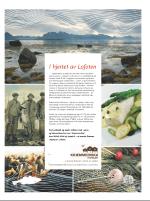 dagbladet_bilag-20090515_000_00_00_003.pdf