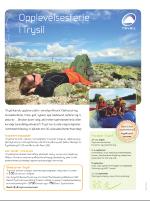 dagbladet_bilag-20090515_000_00_00_011.pdf