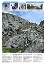 dagbladet_bilag-20100211_000_00_00_010.pdf