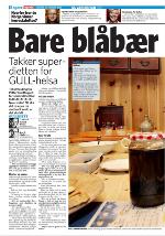 dagbladet_bilag-20100224_000_00_00_004.pdf