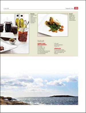 dagbladet_bilag-20130604_000_00_00_023.pdf