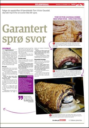 dagbladet_bilag-20131223_000_00_00_009.pdf