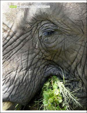 dagbladet_bilag-20140910_000_00_00_006.pdf