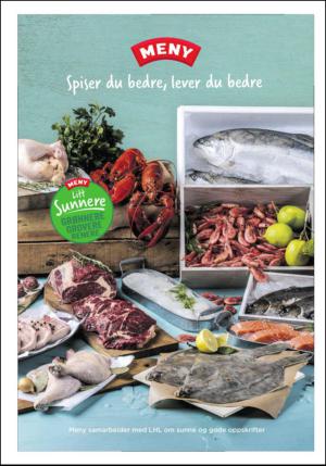 dagbladet_bilag-20150615_000_00_00_016.pdf