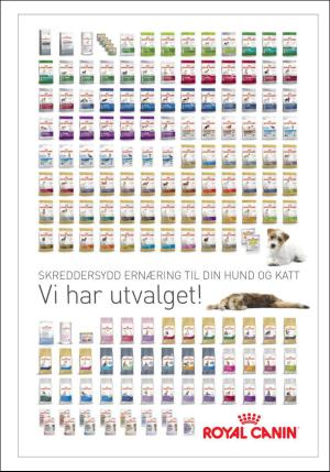 dagbladet_bilag-20150917_000_00_00_016.pdf