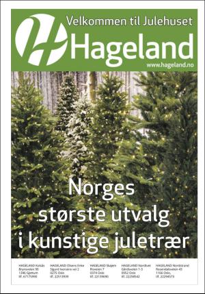 dagbladet_bilag-20151215_000_00_00_020.pdf