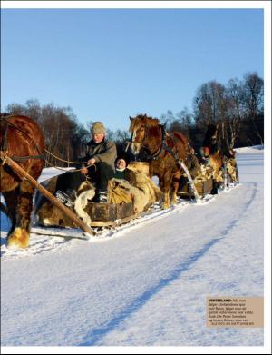 dagbladet_bilag-20160113_000_00_00_035.pdf