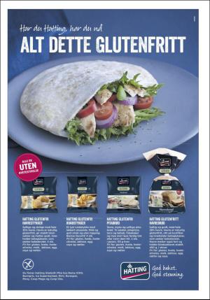 dagbladet_bilag-20160330_000_00_00_009.pdf